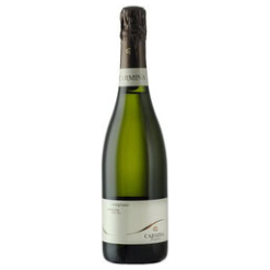 carmina-prosecco-di-conegliano-doc-extra-dry-loggia-d-colle