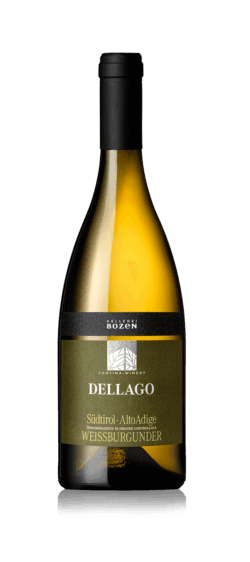 Bozen - Weissburgunder DOC Dellago - 2024