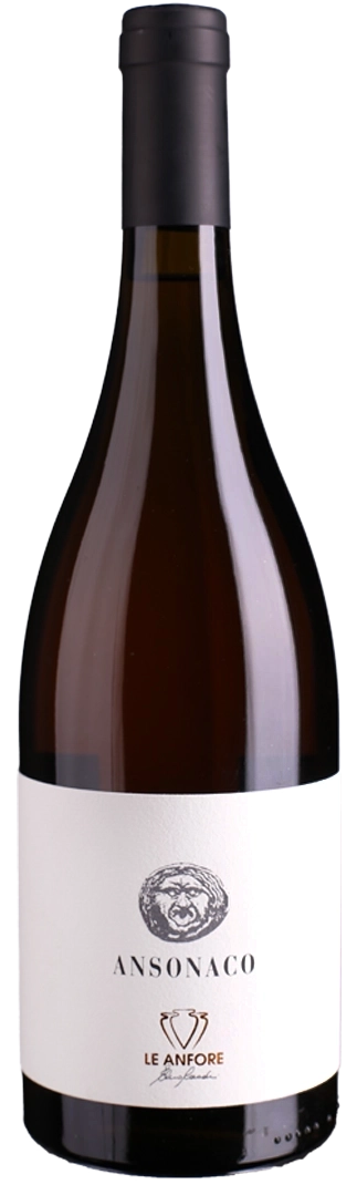 le-anfore-di-elena-casadei-ansonica-ansonaco-igt-2016