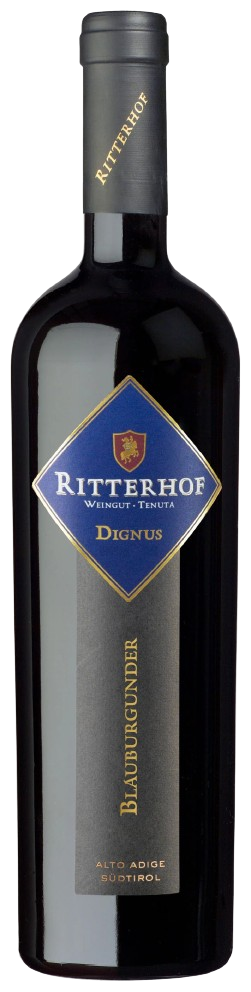 ritterhof-blauburgunder-dop-dignus-2019