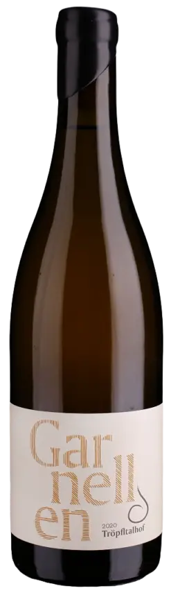 troepfltalhof-garnellen-anphora-sauvignon-blanc-bio-2020