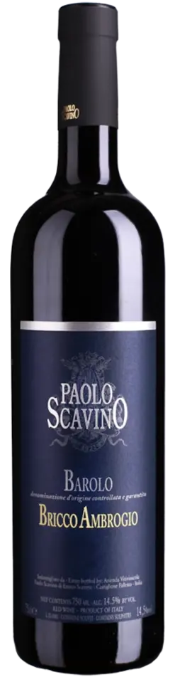 paolo-scavino-barolo-docg-bricco-ambrogio-2020