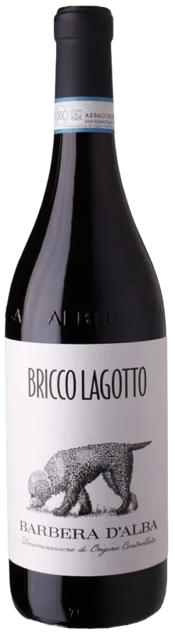 bricco-lagotto-barbera-piemonte-doc-2023