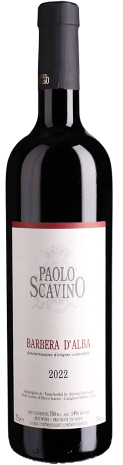paolo-scavino-barbera-dalba-doc-2024