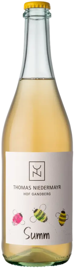 thomas-niedermayr-cuvee-summ-solarisbronnersouvignier-bio-2023
