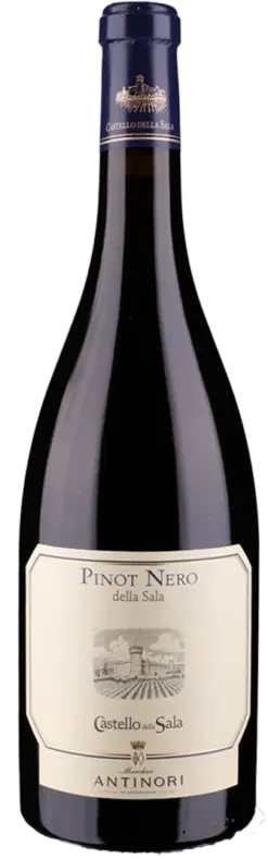 castello-della-sala-pinot-nero-della-sala-igt-2023