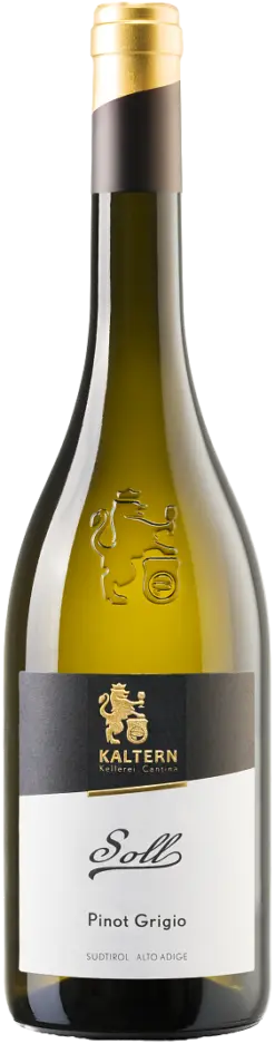 kaltern-pinot-grigio-doc-soll-2024