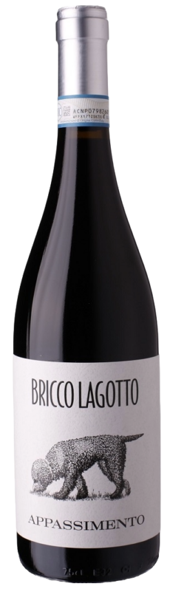 bricco-lagotto-barbera-passito-doc-2024