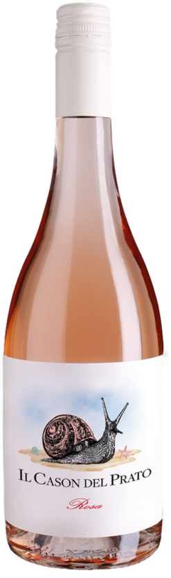 il-cason-del-prato-rosa-igt-dv-2025