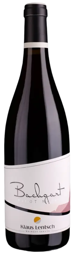 klaus-lentsch-blauburgunder-doc-bachgart-identitaet-2022