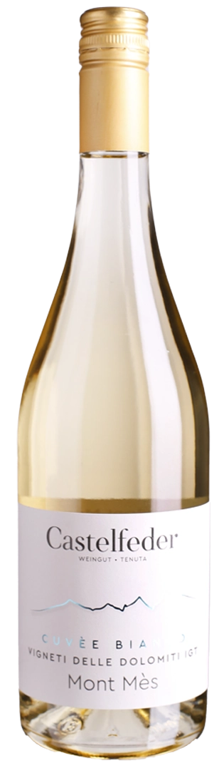 castelfeder-cuvee-bianco-igt-mont-mes-dv-2025