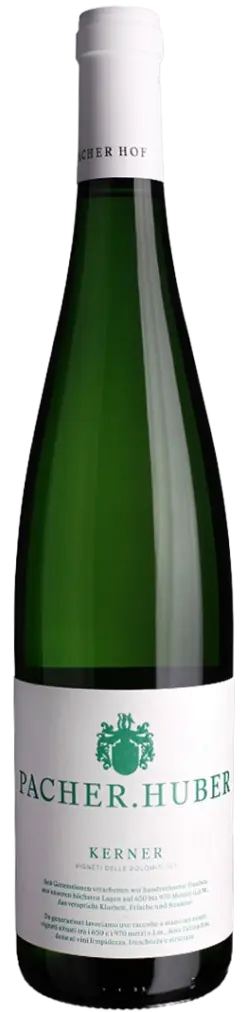 pacherhuber-kerner-igt-2025