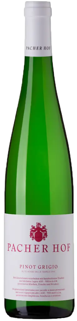 pacherhuber-pinot-grigio-doc-2025