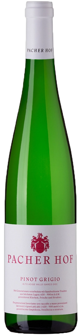 pacherhuber-pinot-grigio-doc-2025