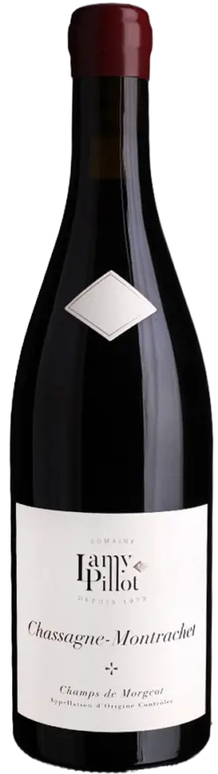 lamy-pillot-chassagne-montrachet-rouge-champs-de-morgeot-2024