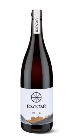 radoarhof-blauburgunder-igt-vedla-bio-2021