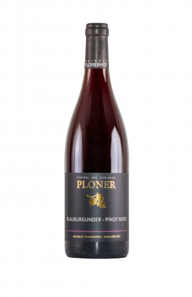 plonerhof-blauburgunder-doc-2025