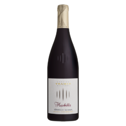 tramin-vernatsch-doc-hexenbichler-2025